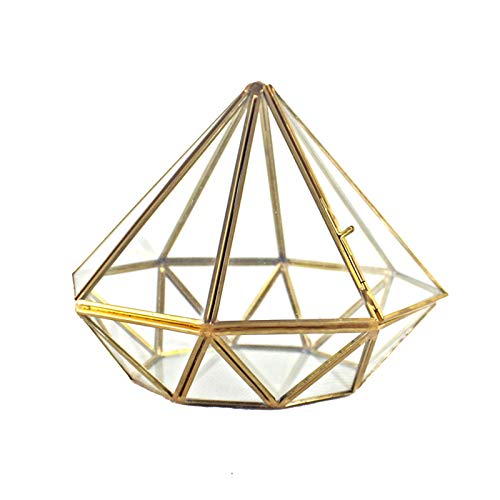 Handmade Gold Open Glass Geometric Terrarium Brass Succulent Fern Moss Plant Display Container Balcony Small