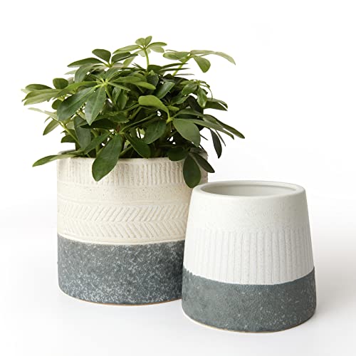 LA JOLIE MUSE Ceramic Plant Pots, Flower Pots for Indoor Plants, Set of 2 | 6.4+4.3 Inch Grey & Ivory, Embossed Pattern Decorative Planter Pot with Drainage Hole for Indoor Plants, Home Decor, Office - color: Slate Gray & Ivory