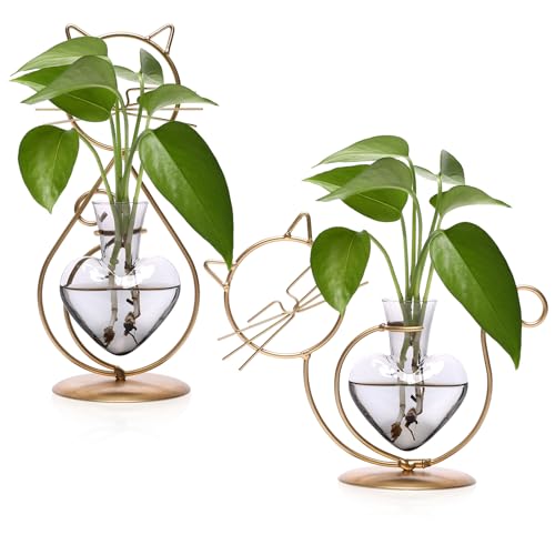 Plant Terrarium Propagation Station Gifts for Women Cat Lover | Plant Lovers Home Office Decor Cat Desk Accessories - color: Gold Gray