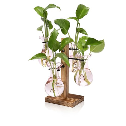 Plants Propagation Stations Bulb Glass Propagation Birthday Gift for Women | Garden Plant Lovers - 4 Bulb - color: Pink
