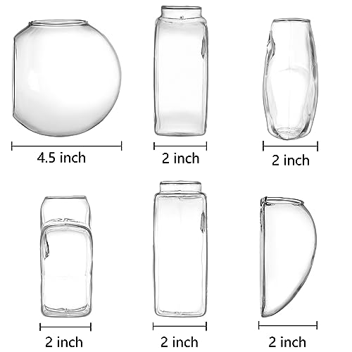 Set of 6 Wall Hanging Planter Terrarium, Clear Glass Plant Vase Wall Mount for Propagating Hydroponics Plant, Indoor Air Plants, Stylish 6 Shapes (Plants Not Included)