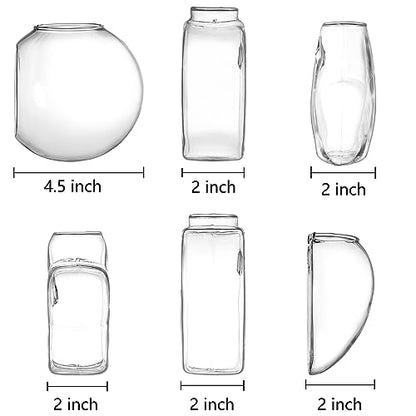 Set of 6 Wall Hanging Planter Terrarium, Clear Glass Plant Vase Wall Mount for Propagating Hydroponics Plant, Indoor Air Plants, Stylish 6 Shapes (Plants Not Included)
