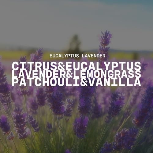 Milkhouse Eucalyptus Lavender Soy Wax Melts for Wax Warmer, 5.5 oz | Clean-Burning, Premium Fragrance Oil, Made in the USA - color: Eucalyptus Lavender