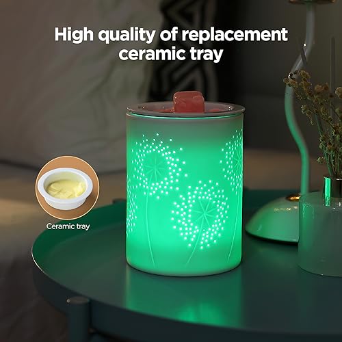 inrorans Wax Melt Warmer Ceramic Oil Burner with Timer Electric Candle Wax Melter with Led Coloful Changing Silicone Removeable Tray for Home Gifts-Dandelion - color: Dandelion