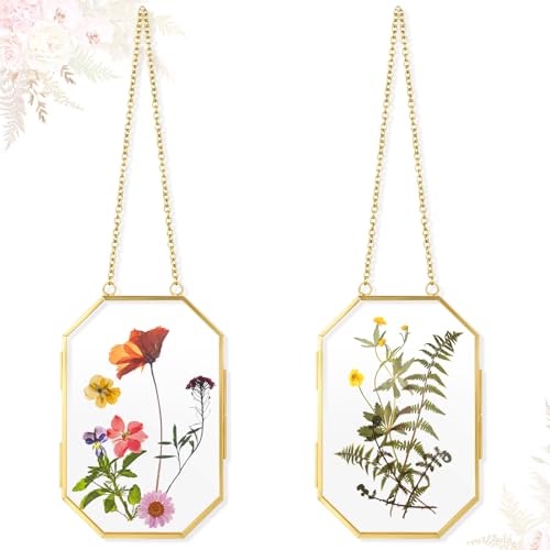 Qunclay 2 Pcs Double Glass Frame for Pressed Flower Frames Floating Wall Hanging Metal Chain for Display Dried Plant Specimen Picture Pretty Gifts for Mom Friends DIY Handy Craft(Gold,3.5 x 2.5 Inch) - color: Gold, size: 3.5 x 2.5 Inch