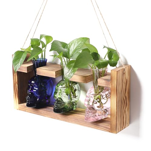 Plant Terrarium Propagation Stations Skull Planter Vase Skulls Decor | Hydroponics Halloween With Wooden Stand Gife for Father - color: Color-01