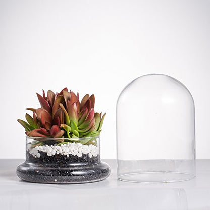 NCYP Small Clear Decorative Glass Terrarium Cloche with Air Hole - 4.7 x 4.7 x 6.3 Inches Glass Dome with Base for Miniature Carnivorous Plants (No Plants Included) - size: 4.7x4.7x6.3inches