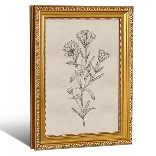 MHUNFDHNOLZ Gold Vintage Framed Botanical Wall Art - Floral Canvas Print, Rustic Farmhouse Decor for Living Room Bathroom Bedroom, 9x11 Inch - color: Framed-Botanical, size: 9"L x 11"W
