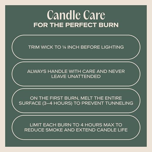Snuggle Season Pet-Friendly Scented Candle – Balsam, Tonka Bean & Evergreen Fragrance - Coconut Soy Wax Candle with Wooden Wick, Approx. 50-Hour Burn Time, Made in USA, 11.8 oz - color: Snuggle Season