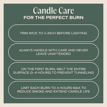Snuggle Season Pet-Friendly Scented Candle – Balsam, Tonka Bean & Evergreen Fragrance - Coconut Soy Wax Candle with Wooden Wick, Approx. 50-Hour Burn Time, Made in USA, 11.8 oz - color: Snuggle Season