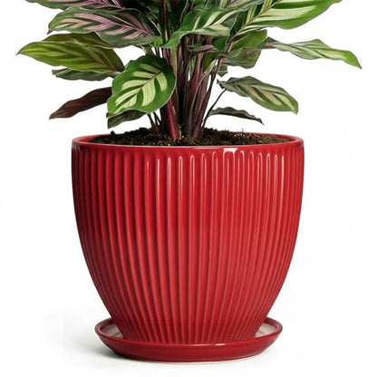 Ceramic Planter, 6 Inch Plant Pot Indoor with Drainage Hole and Saucer, Small Pots for Plants, Modern Succulent Flower Pot, Round Planter, House Garden Decor, Plant Gifts for Women Men, Red - size: 6 Inch, style: Red