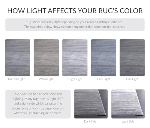 SAFAVIEH Vision Collection Accent Rug - 2'2" x 4', Silver, Modern Ombre Design, Non-Shedding & Easy to Clean, Ideal for Entryway, Foyer, Bedroom (VSN606G) - color: Silver, size: 2'2" x 4' (Rectangular)