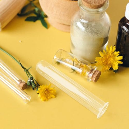 Veemoon 4pcs Plant Propagation Glass Tubes Clear Plants Test Tubes Tiny Hydroponic Planter Vase Decorative Table Terrarium Propagation Station Accessory for Home Office Garden Hydroponic Cuttings
