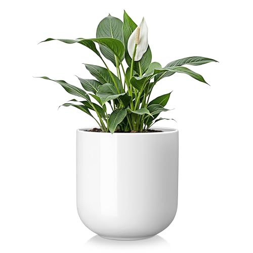 vancasso 8 Inch Ceramic Plant Pots, Planters with Drainage Hole, Flower Pots Planters Pots for Indoor Plants, Modern Indoor Decorative Garden Pot, Home Decor, White - color: White, size: 8 Inch