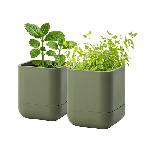 Phoenix Vine 3.5 Inch Wall Mounted Self-Watering Planter Pot for Indoor Houseplants and Herbs | Hanging Planter for Window Sills, Bathroom Walls, Home & Office Décor, Olive, Set of 2, 01-A-F-2 - color: Olive, size: 3.5" (2 Pack)