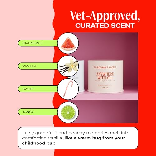 Anywhere with You Pet-Friendly Scented Candle – Grapefruit & Vanilla Fragrance - Coconut Soy Wax Candle with Wooden Wick, Approx. 50-Hour Burn Time, Made in USA, 11.8 oz - color: Anywhere with You
