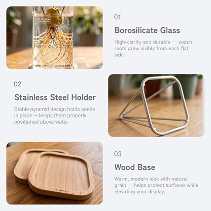 Avocado Seed Growing Kit, Set of 2 Glass Vases with Stainless Steel Holder & Wood Base, Avocado Growing Vase Hydroponic Propagation Starter Kit for Sprouting, Home Decor Plant Gift - No Seeds