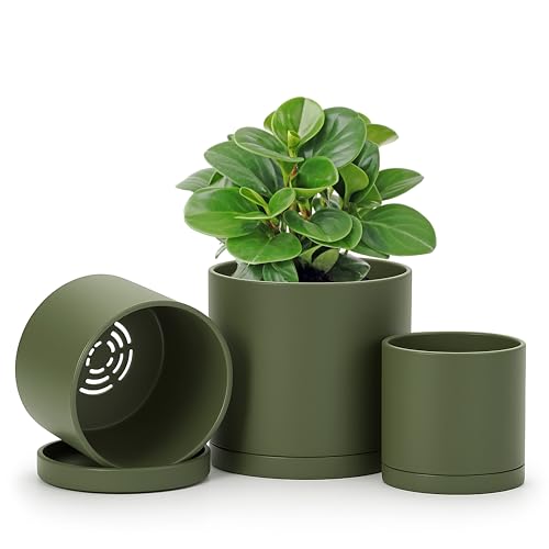 D'vine Dev 3-Pack Plastic Pots & Saucers, 4/5/6 in, Olive, 74-V-I-1 | Multi-Size Options, Lightweight Durable, Matte Finish, Cylinder Shape, Drainage Holes, Sleek Design, Detachable Saucer - color: Olive, size: Small
