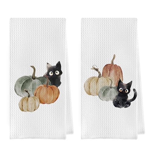 Fall Pumpkin Dish Towels Set - Fall Pumpkin Gifts Waffle Weave Kitchen Towels, Black Cat Gifts Hand Tea Towels, Fall Black Cat Bathroom Kitchen Decor (16×24 Inches Set of 2) - color: Fall-2
