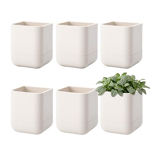 Phoenix Vine 3.5 Inch Wall Mounted Self-Watering Planter Pot for Indoor Houseplants and Herbs | Hanging Planter for Window Sills, Bathroom Walls, Home & Office Décor, Oatmeal, Set of 6, 01-A-G-6 - color: Oatmeal, size: 3.5" (6 Pack)