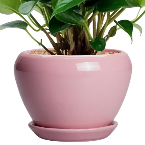 Ceramicfor 6 Inch Plant Pot - Ceramic Pot for Indoor Plants, Glaze Modern Decorative Round Ceramic Planter with Drainage Hole and Saucer, Plant Lover Gifts, Home Garden Room Office Decor, Pink - color: Pink, size: 6 Inch