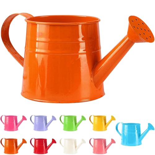 Tinplate Watering Kettle 1L, Mini Metal Watering Can with Long Spout and Handle, Vintage Flower Sprinkling Can for Indoor Plants, Patio and Garden Use (Orange-B06) - color: Orange-b06