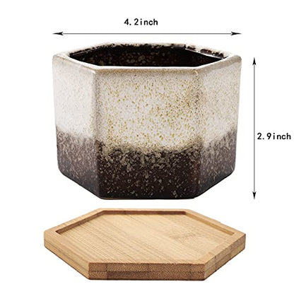 TOPZEA Set of 5 Succulent Planter Pots, 4.2 Inch Hexagon Glazed Ceramic Small Cactus Pot, Geometric Mini Flower Plant Container with Drainage Hole & Bamboo Tray for Home, Office, Windowsill, Desk