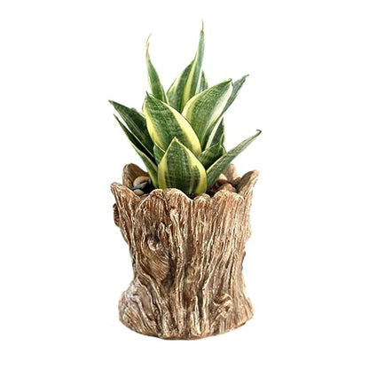 Funny Planter Head Face Plant Pot with Drainage Hole Resin Succulent Plant Holder Pencil Holder Desk Organizer Office Garden Gift (Smile Face)