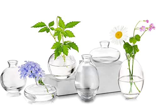 Glass Bud Vases Set of 6, Hewory Cute Clear Small Vases Handmade, Mini Glass Flower Vase for Floral Arrangement, Tiny Centerpiece for Wedding Party Events Home Office Table Decor (Not Include Flower) - color: Clear, size: 2sets (6pcs)