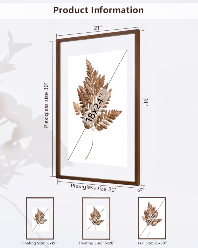 DLQuarts 20x30 Floating Picture Frame for 18x24/16x20/13x19/12x18 Photos, 2-Pack Solid Wood Double Plexiglass Wall Art Frames, Any Size Photo up to 20x30 Display, Black Walnut - color: Black Walnut, size: 20x30