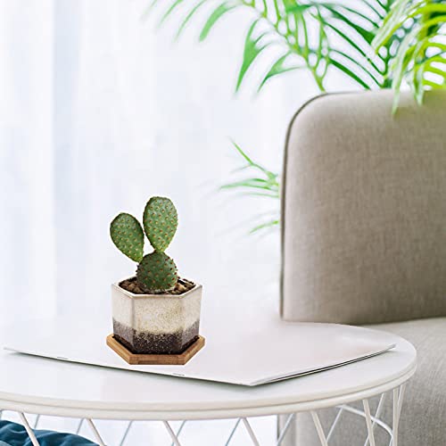 TOPZEA Set of 5 Succulent Planter Pots, 4.2 Inch Hexagon Glazed Ceramic Small Cactus Pot, Geometric Mini Flower Plant Container with Drainage Hole & Bamboo Tray for Home, Office, Windowsill, Desk