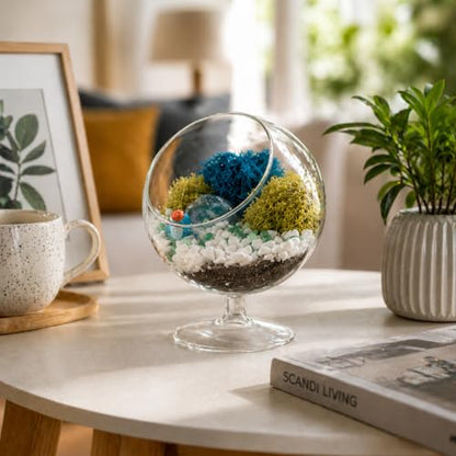 Creations by Nathalie DIY 6" Chalice Terrarium Kit Build Your Own Glass Terrarium for Adults & Teens, DIY Terrarium Kit with Live Moss, Crystals, Soil (Plant Not Included) | DIY chalice glass terrarium kit with moss and tools, including supplies for creat