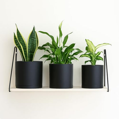 D'vine Dev 3-Pack Plastic Pots & Saucers, 6/6.5/8 in, Black, 74-V-B-3 | Multi-Size Options, Lightweight Durable, Matte Finish, Cylinder Shape, Drainage Holes, Sleek Design, Detachable Saucer - color: Matte Black, size: Medium
