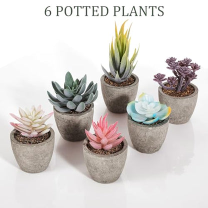 Set of 6 Artificial Succulents Potted - Realistic Mini Fake Cactus Plants in Paper Pulp Pots, 2-4'' Mixed Sizes for Farmhouse Shelf, Bathroom, Coatrack Shelf, Bedroom Indoor(Vivid Style) - style: Vivid Style