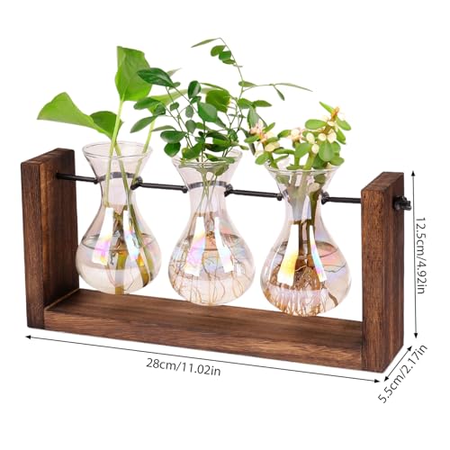 Propagation Stations Iridescent Plant Propagation Station, 3Pcs Gradient Bulb Vase with Wooden Stand Tabletop Plant Terrarium for Hydroponics Home Office Garden Decor|Terrariums