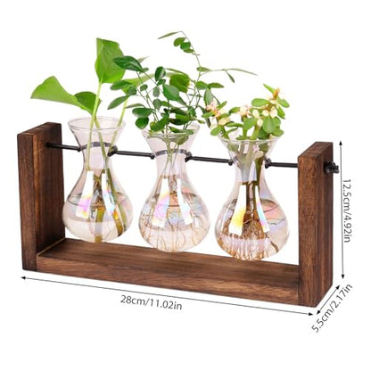 Propagation Stations Iridescent Plant Propagation Station, 3Pcs Gradient Bulb Vase with Wooden Stand Tabletop Plant Terrarium for Hydroponics Home Office Garden Decor|Terrariums