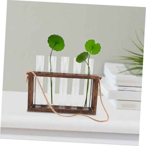 Toyvian 1 Set Wall Mounted Hydroponic Planter with Wooden Stand of Glass Test Tube Vases for Home Decoration for Plant Terrariums and Propagation Stations