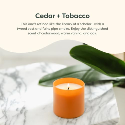 Dignity Series Cedar & Tobacco Scented Candle - 35 Hour Burn | 35 Hour Burn - Made in the USA Luxury Clean Soy Wax Candles - Long Lasting Glass Jar Candle for Home - 1 Wick - 5.3oz - color: Cedar + Tobacco
