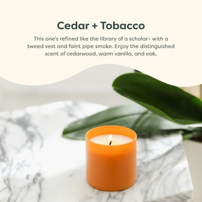 Dignity Series Cedar & Tobacco Scented Candle - 35 Hour Burn | 35 Hour Burn - Made in the USA Luxury Clean Soy Wax Candles - Long Lasting Glass Jar Candle for Home - 1 Wick - 5.3oz - color: Cedar + Tobacco