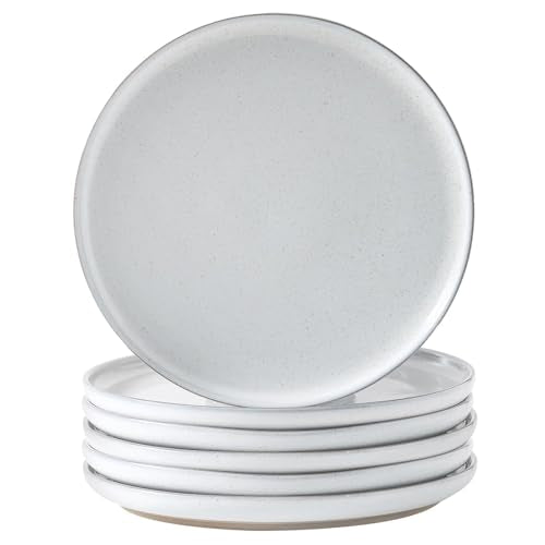 Ceramic Dinner Plates Set of 6,Stoneware 10 Inch,Microwave,Dishwasher and Oven Safe,Porcelain Dessert Plates for Pasta,Salad and Steak,Christmas Gift,Dish for Kitchen,Scratch Resistant,White - color: White, size: 10 Inch(6 PC)
