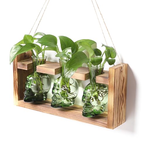 Plant Terrarium Propagation Stations Skull Planter Vase Skulls Decor | Hydroponics Halloween With Wooden Stand Gife for Father - color: Green