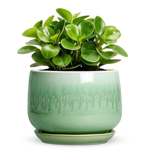 6 Inch Planter - Ceramic Plant Pots for Indoor Plants, Round Ceramic Flower Pot with Drainage and Saucer, Decorative Indoor Plant Pots, Room Garden Desktop Decor, Housewarming Gifts, Green - size: 6 Inch, style: Green