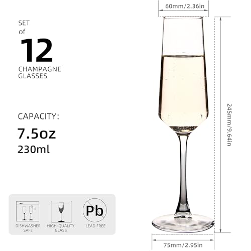 Champagne Flutes Set of 12, 7.5 oz Elegant Champagne Glasses | Clear Champagne Glasses for Champagne, Prosecco, Mimosa, Sparkling Wine