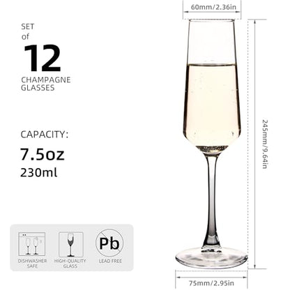 Champagne Flutes Set of 12, 7.5 oz Elegant Champagne Glasses | Clear Champagne Glasses for Champagne, Prosecco, Mimosa, Sparkling Wine