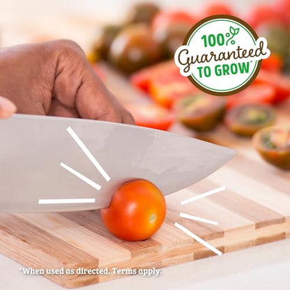 Back to the Roots Cherry Tomato Organic Windowsill Planter Kit - Grows Year Round, Includes Everything Needed For Planting - style: Tomato