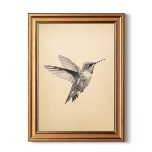 InSimSea Vintage Gold Framed Hummingbird Wall Art, Minimalist Birds Sketch Canvas Print for Living Room Bedroom Bathroom, Farmhouse Animal Painting Home Decor Gift, 12x16 inch - color: Hummingbird, size: 16"L x 12"W