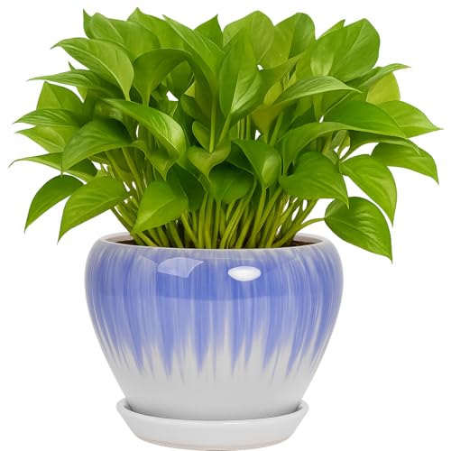 Deep Dream 6 Inch Plant Pots- Ceramic Planter Pot with Drainage Hole and Saucer, Round Flower Pot for Indoor Outdoor Succulent, Snake Plants and Cactus, White&Blue - color: White&blue, size: 6 Inch