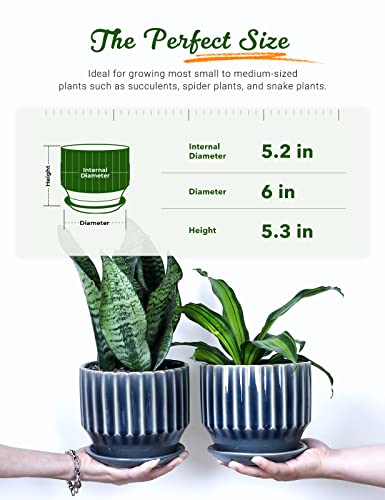 Plant Pots 6 inch Ceramic Pots for Indoor Plants Set of 2 Flower Pots Unique Crackle Glaze Design Plant Pots with Drainage Hole and Saucer Come with Drainage Nets (Grey) - color: Gray