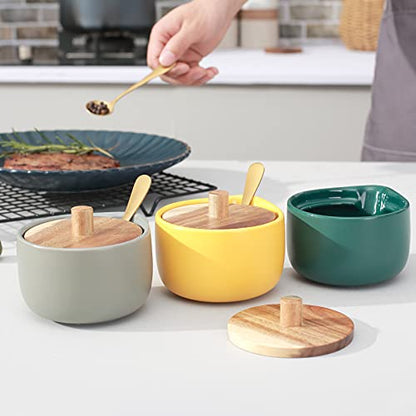 everous Salt Box base grey color Salt Cellar Elegant Design salt Boxes Big Capacity Wood lid grey Ceramic Base with spoon salt pot
