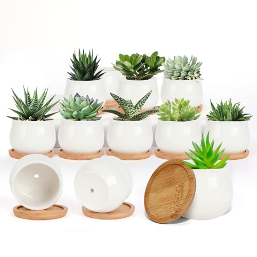 SHECIPIN Succulent Pots, White Mini 2.5 inch Ceramic Flower Planter Pot with Bamboo Tray, Pack of 12 - Plants Not Included - color: 12 Pack White Mini